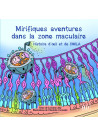Mirifiques aventures dans la zone maculaire