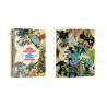 Coffret New History of the DC Universe + 1 poster inclus