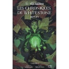 La Légende de Vox Machina - Les Chroniques de Whitestone