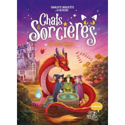 Chats & sorcières - Le...