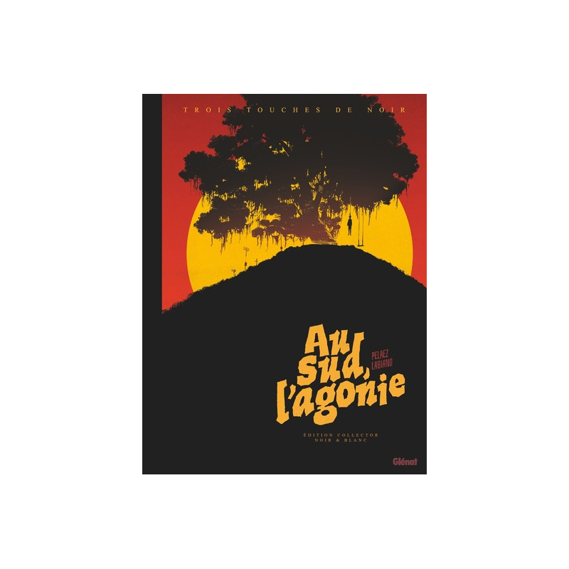 Au Sud, l'Agonie - Edition Noir et Blanc