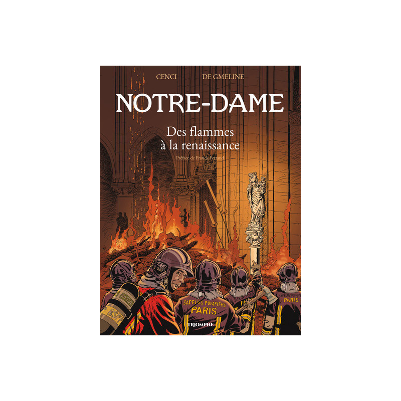 Notre-Dame Des flammes à la renaissance