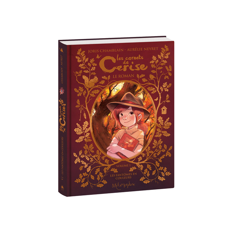 Les Carnets de Cerise - Roman - Volume 1