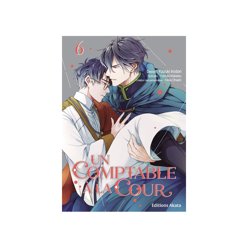 Un comptable à la cour - Tome 6