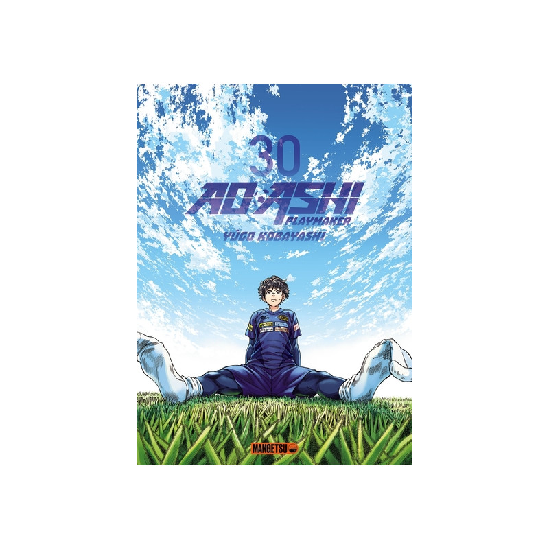 AO ASHI T30
