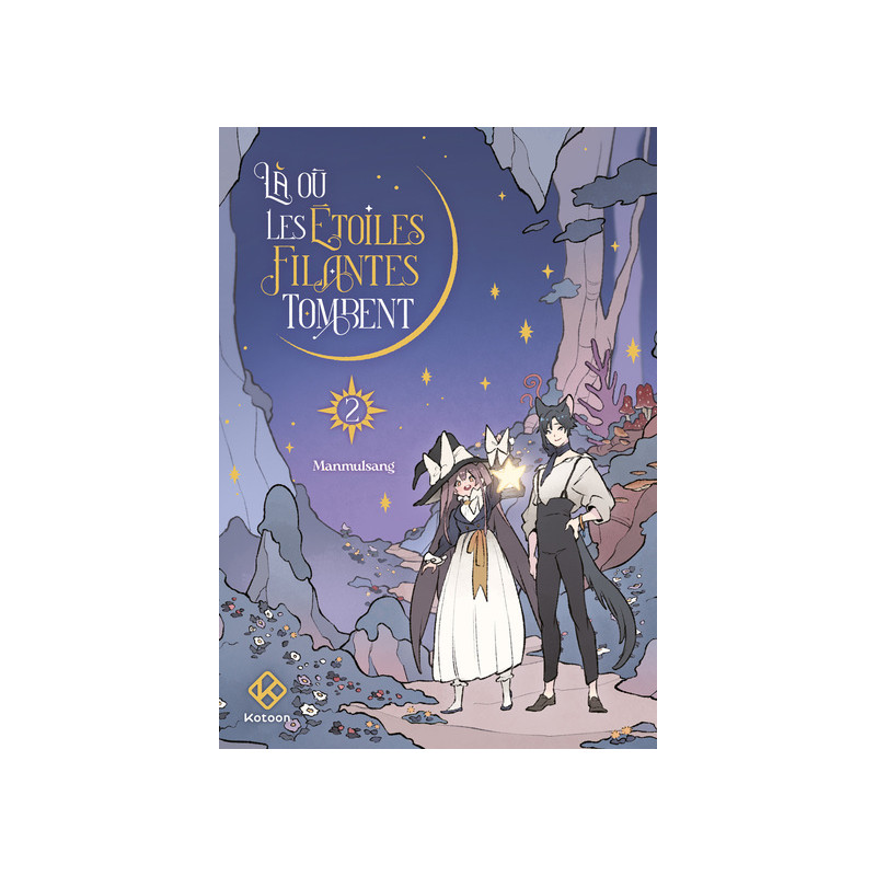 Là où les étoiles filantes tombent - Tome 2