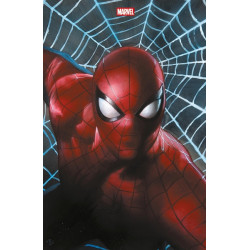 Marvel Comics (II) N°16...