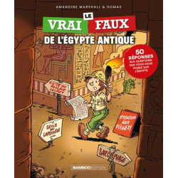 Le Vrai/Faux de l'Égypte...