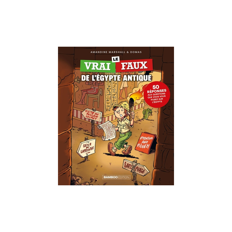 Le Vrai/Faux de l'Égypte antique