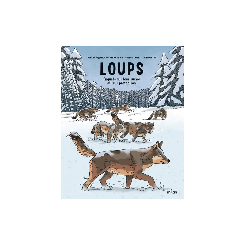 Loups : enquête sur leur survie et leur protection