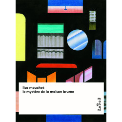 Le mystère de la maison brume