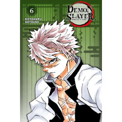 Demon Slayer - Edition...