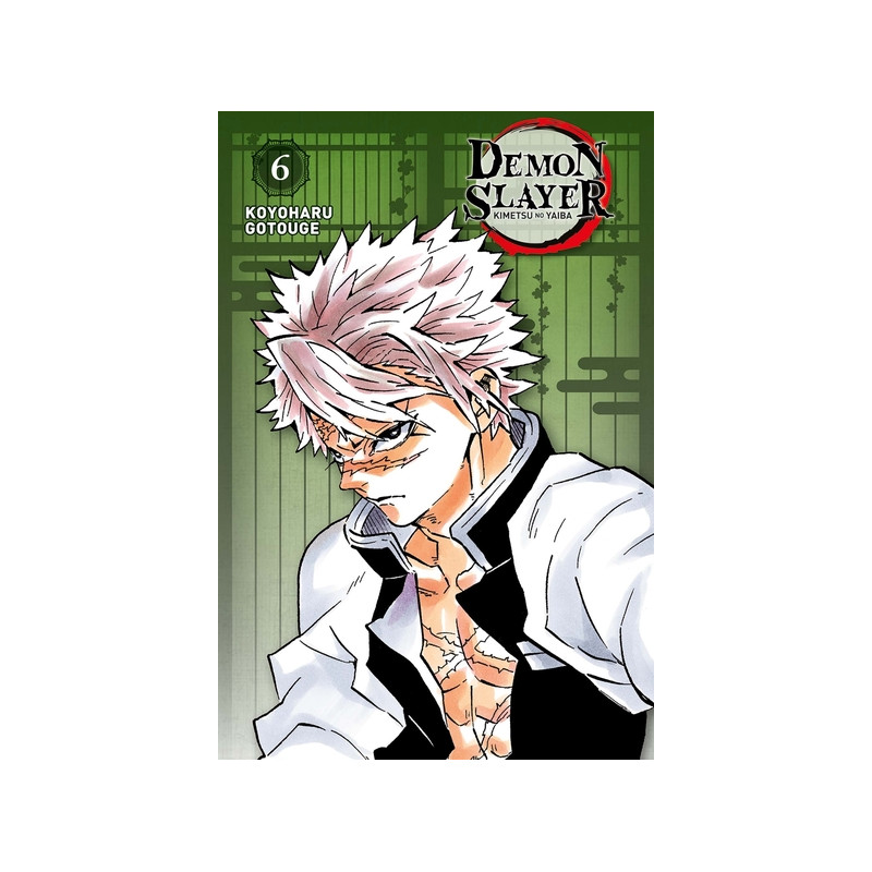 Demon Slayer - Edition Pilier T06