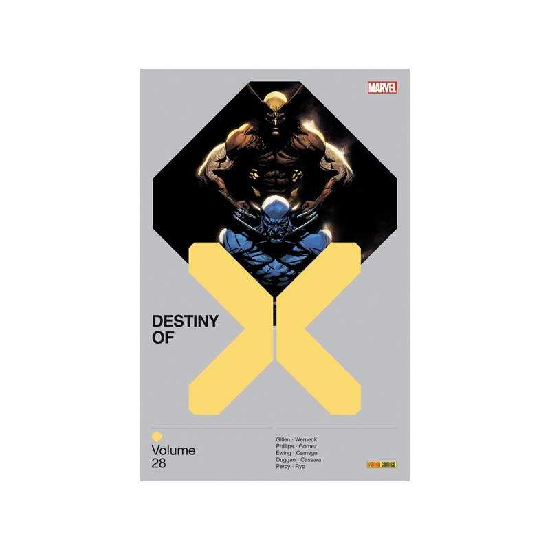 Destiny of X T28
