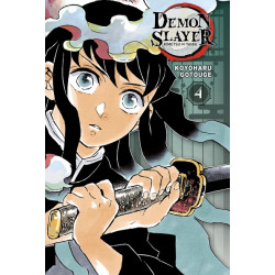 Demon Slayer - Edition...
