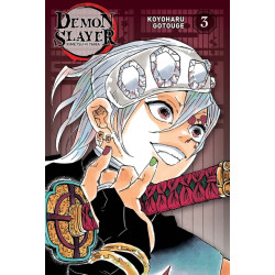 Demon Slayer - Edition...
