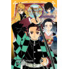 Demon Slayer - Roman jeunesse T02 : Les liens fraternels et les pourfendeurs de démons