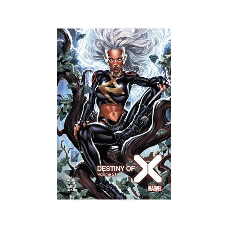Destiny of X T21 (Edition collector) - COMPTE FERME