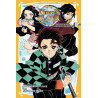 Demon Slayer - Roman jeunesse T01 : Tanjiro & Nezuko l'origine de leur destin