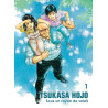 Tsukasa Hojo - Sous un rayon de soleil T01