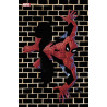 Marvel Comics N°20 (Variant - Tirage limité) - COMPTE FERME
