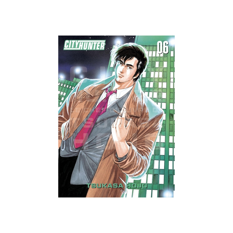 City Hunter Perfect Edition T06