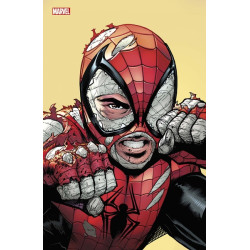 Marvel Comics N°12 (Variant...