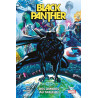 Black Panther T01 : Des ombres au tableau