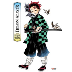 Demon Slayer : Au fil du...