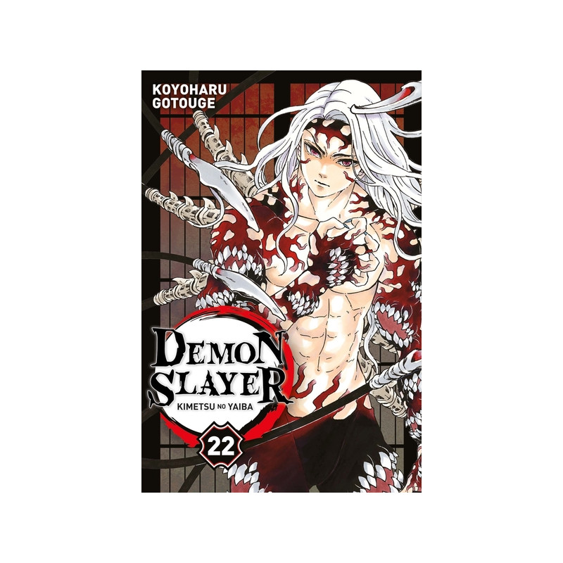 Demon Slayer T22