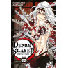 Demon Slayer T22