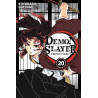 Demon Slayer T20