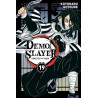 Demon Slayer T19
