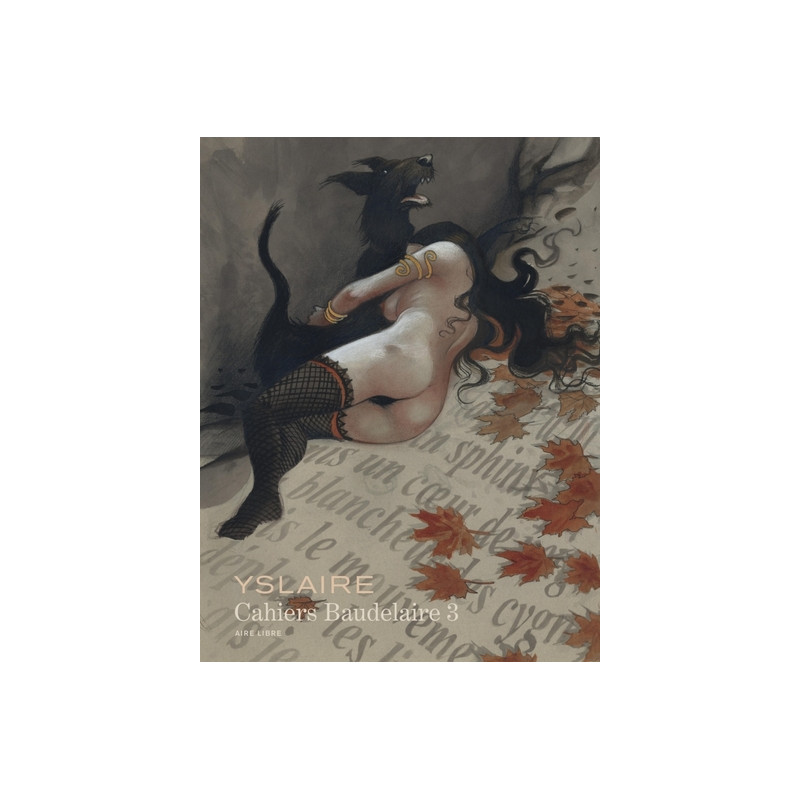 Baudelaire - Cahiers - Tome 3