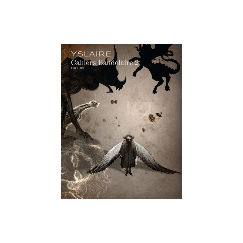 Baudelaire - Cahiers - Tome 2