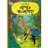 TINTIN 23 : TINTIN ET LES PICAROS (TININ EN CORÉEN)
