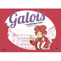 Galois, le mathématicien...