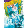 LES MÉMOIRES DE VANITAS 3 (MANGA VO JAPONAIS)