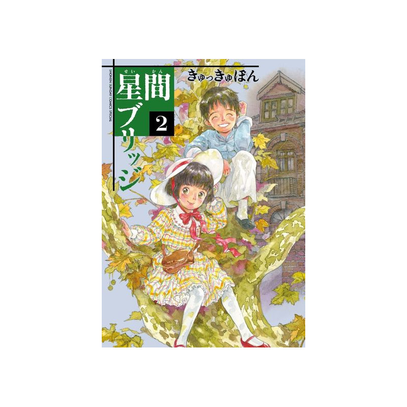 UN PONT ENTRE LES ÉTOILES 2 (MANGA VO)