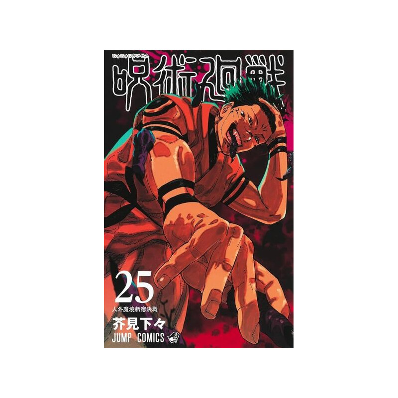 JUJUTSU KAISEN 25 (VO JAPONAIS)