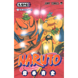 NARUTO 44 (MANGA VO JAPONAIS)