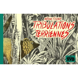 TRIBULATIONS TERRIENNES