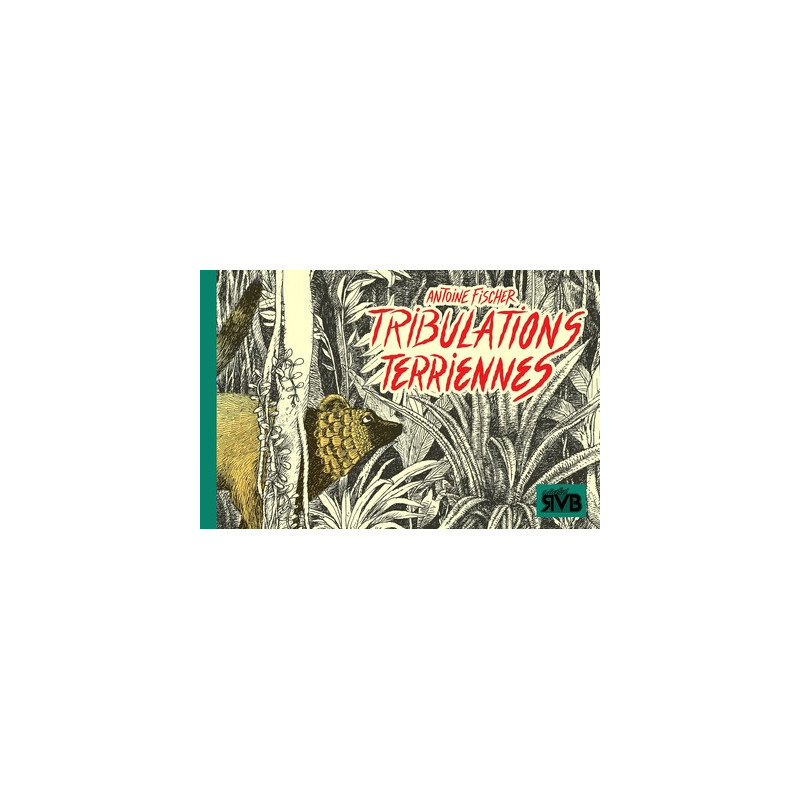 TRIBULATIONS TERRIENNES