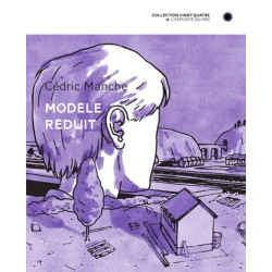 Modèle réduit