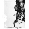 Cèdre et séquoia