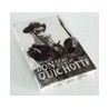 L'ingénieux Don Quichotte