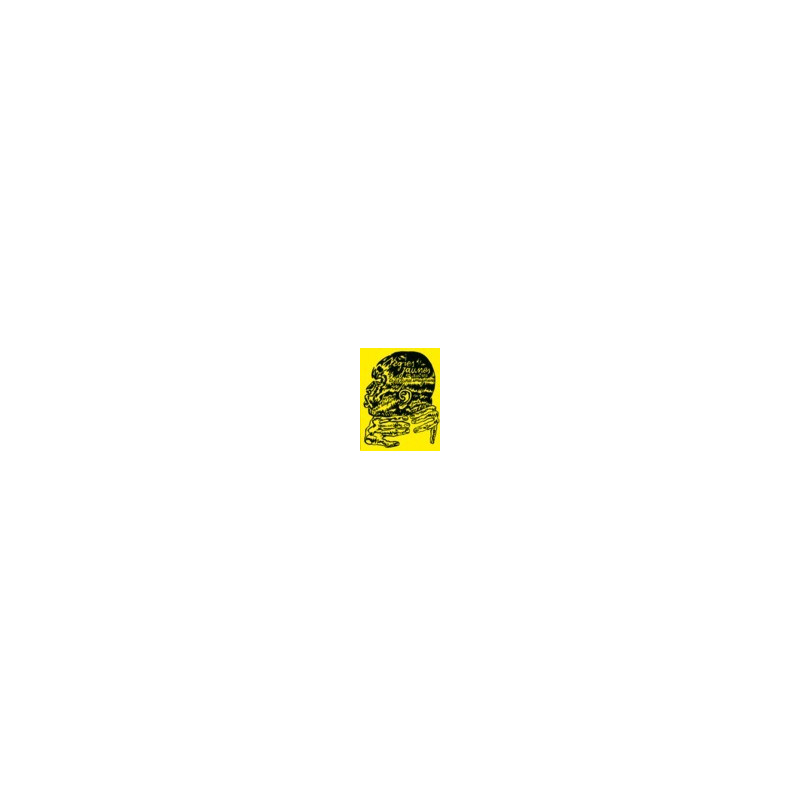 Nègres jaunes