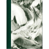 Le Voyage Céleste Extatique