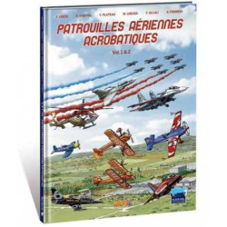 Patrouilles aériennes...