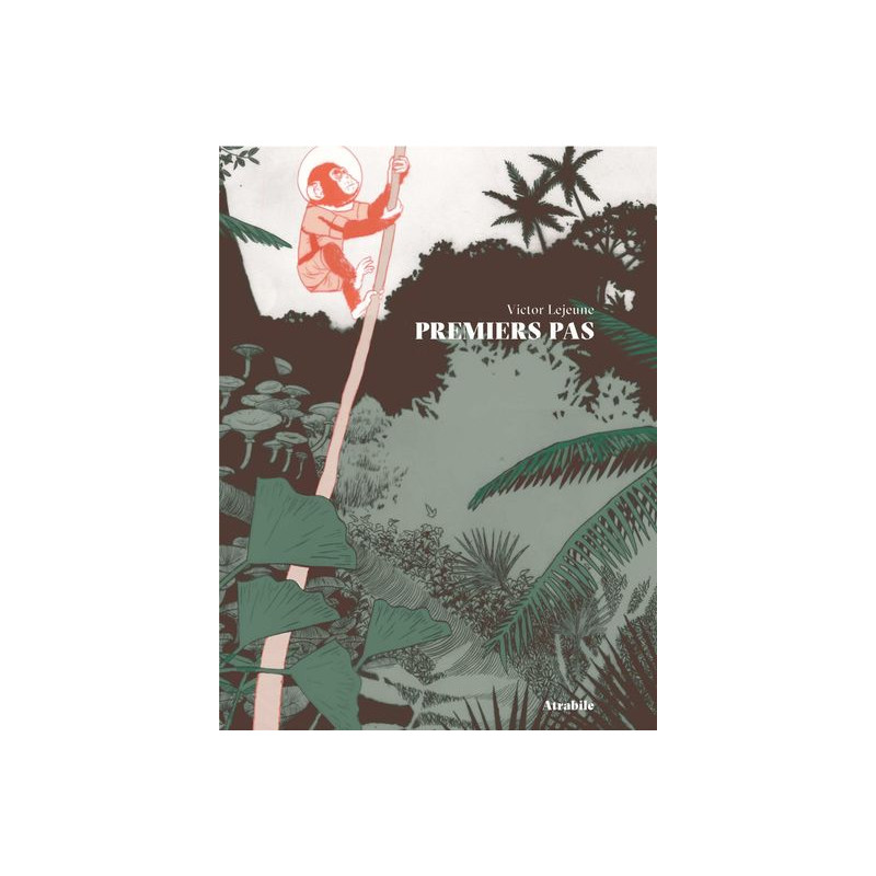 Premiers Pas